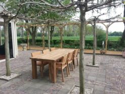 Teak Tuinset Tafel 300 cm met 6 Stoelen - Massief Teak